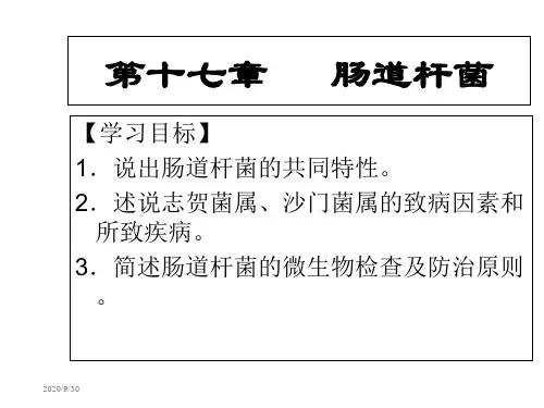 17第十七章   肠道杆菌 《病原生物与免疫学》课件