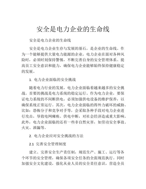 安全是电力企业的生命线
