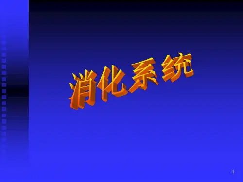 消化系统ppt课件可修改全文