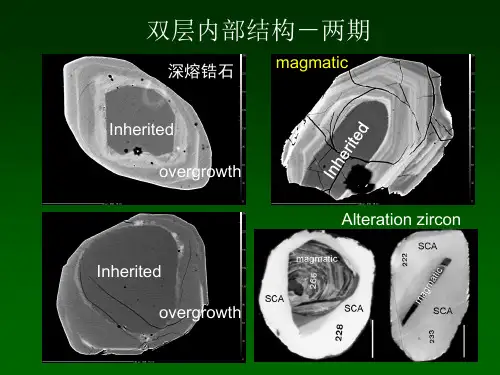 锆石U-Pb定年2资料