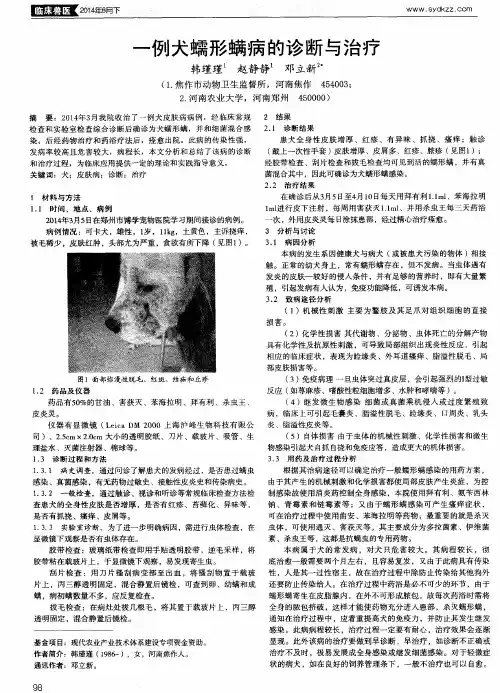 一例犬蠕形螨病的诊断与治疗