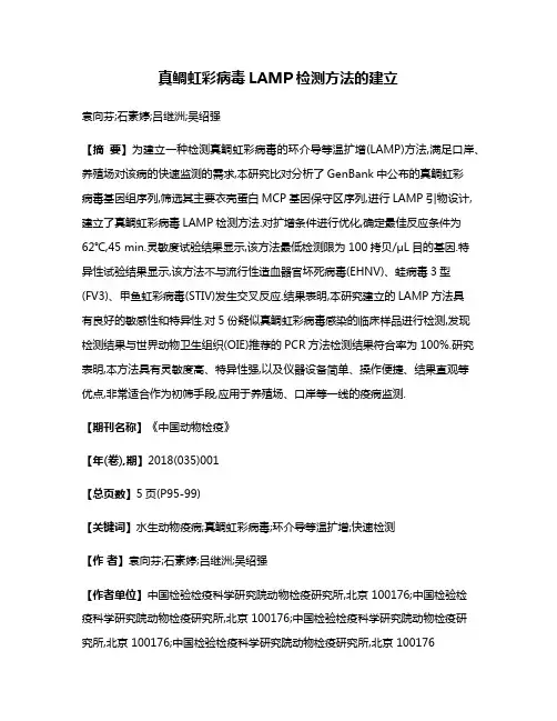 真鲷虹彩病毒LAMP检测方法的建立
