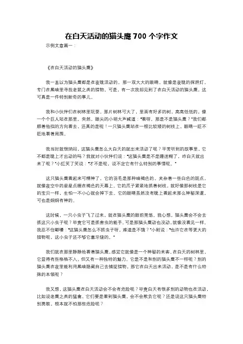 在白天活动的猫头鹰700个字作文