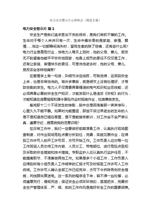 电力安全警示片心得体会（精选5篇）