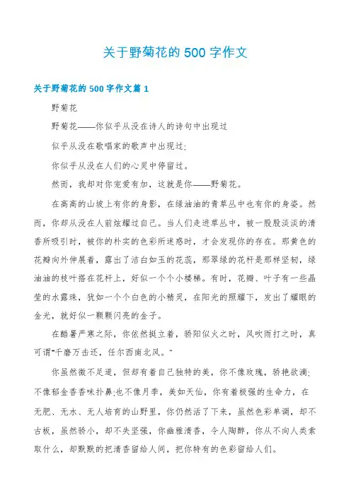 关于野菊花的500字作文