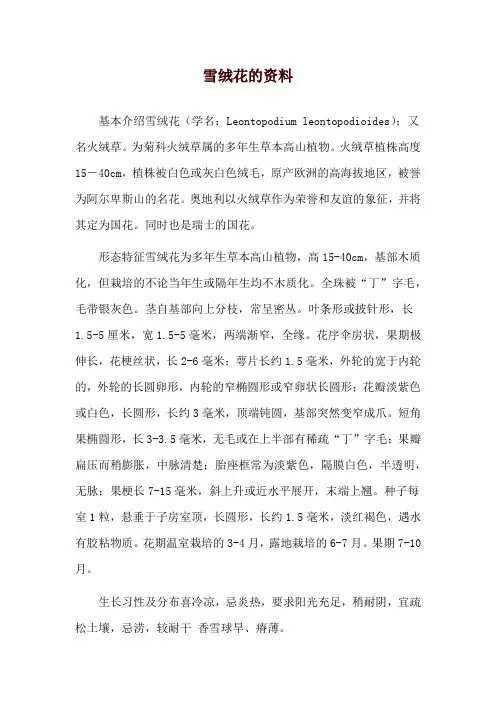 雪绒花的资料