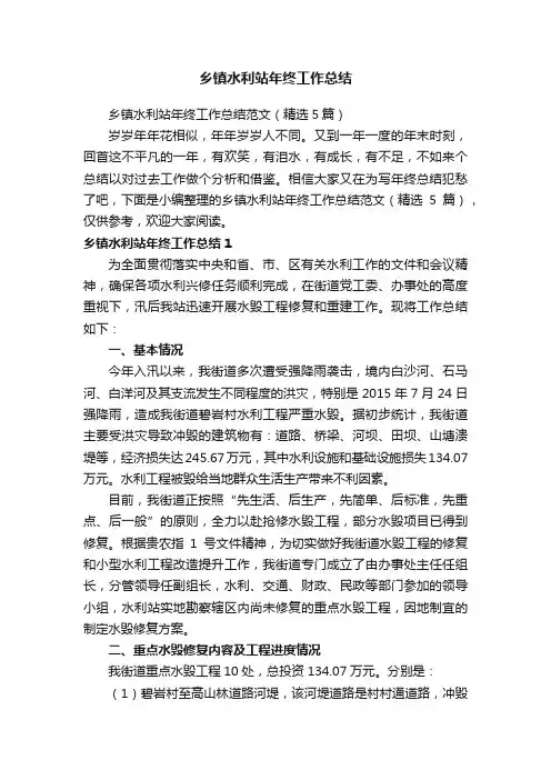 乡镇水利站年终工作总结范文（精选5篇）