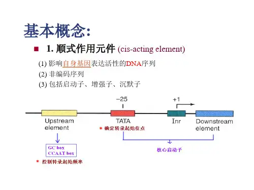 真核基因表达调控的一般规律