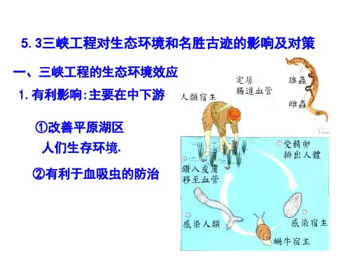 高中地理课件三峡工程对生态环境和名胜古迹的影响及对策433.pptx