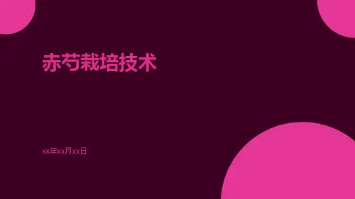 赤芍栽培技术