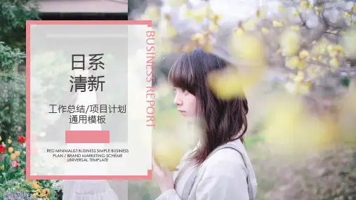 小清新日系总结汇报PPT模板