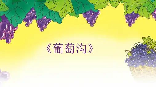 11 葡萄沟 课件(共37张PPT)