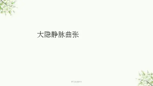 大隐静脉曲张培训教程课件