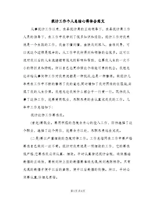 统计工作个人总结心得体会范文（2篇）