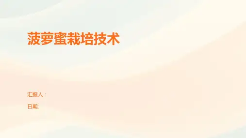 菠萝蜜栽培技术