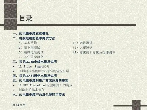 UL电线电缆标准介绍38032共47页文档