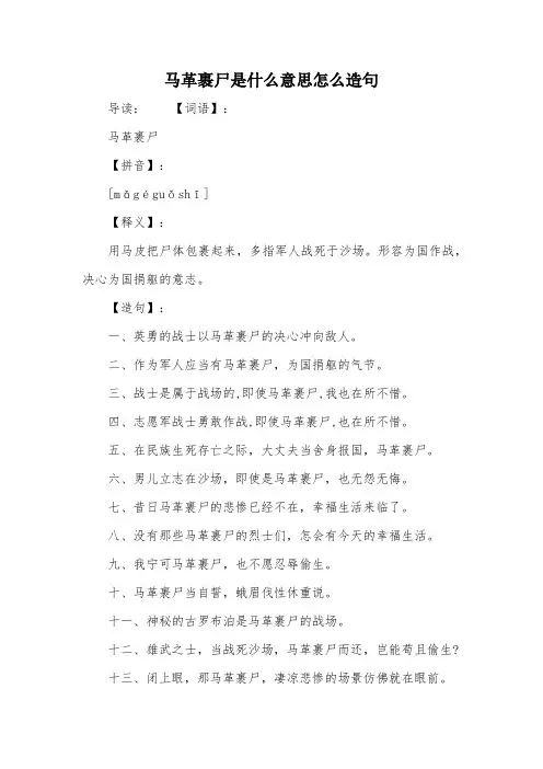 马革裹尸是什么意思怎么造句