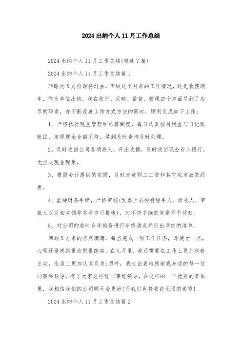 2024出纳个人11月工作总结