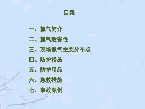 氯气安全知识培训正式版PPT文档