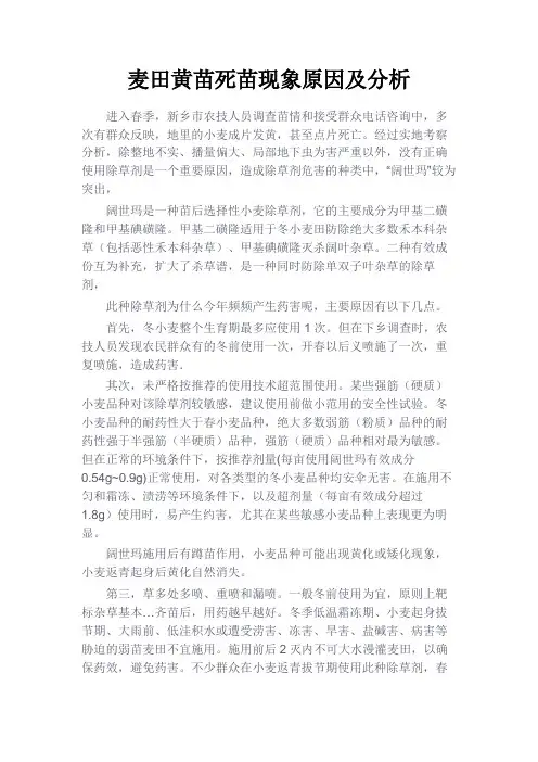 最新 麦田黄苗死苗现象原因及分析-精品