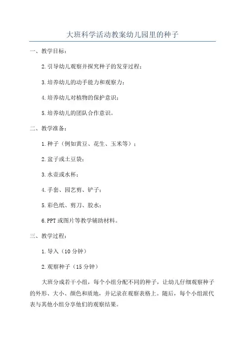 大班科学活动教案幼儿园里的种子