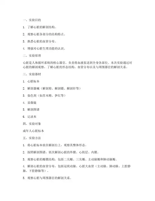 心解剖实验报告