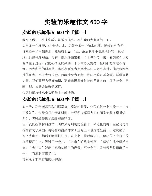 实验的乐趣作文600字