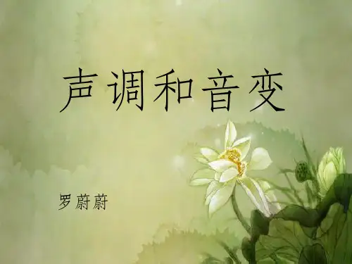 汉语拼音-声调ppt课件
