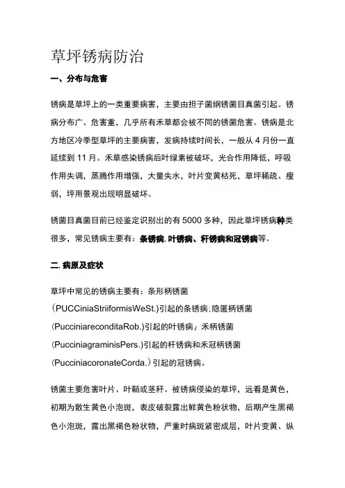 草坪锈病防治