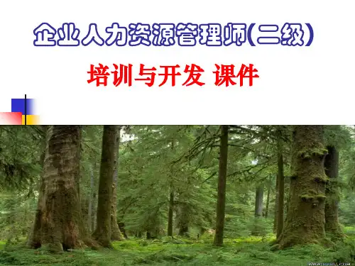 培训和开发 课件