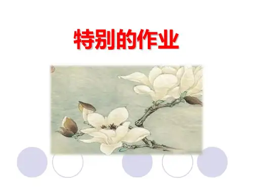 特别的作业-公开课课件