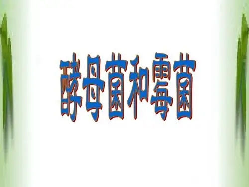 酵母菌和霉菌