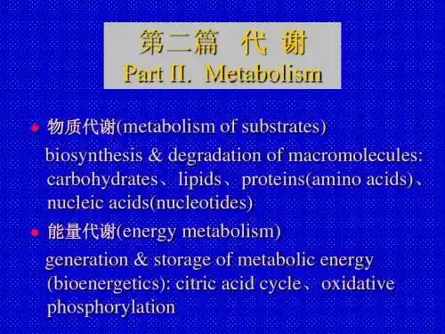 四川大学生物化学课件 第4章糖代谢