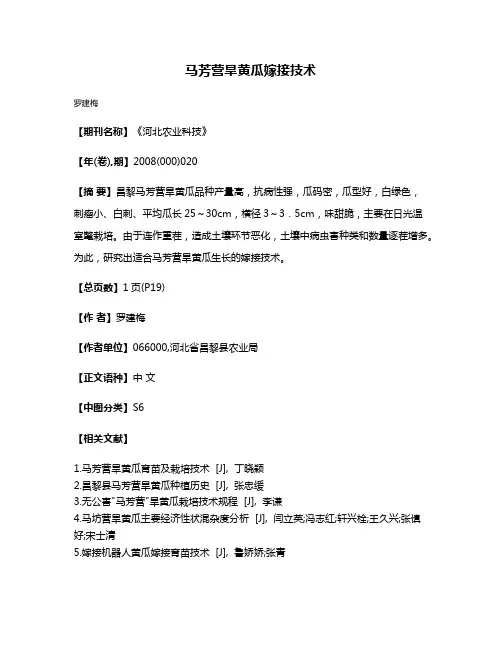马芳营旱黄瓜嫁接技术