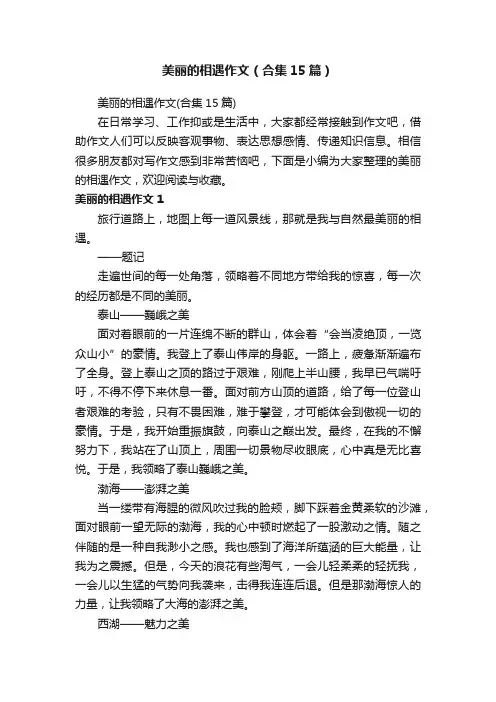 美丽的相遇作文（合集15篇）