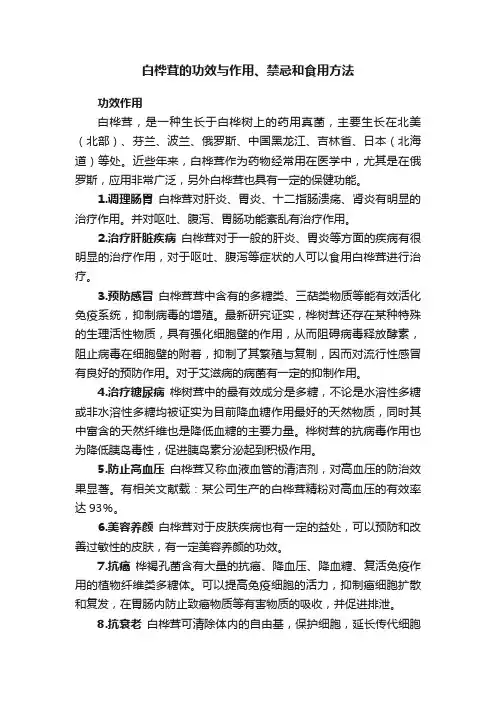 白桦茸的功效与作用、禁忌和食用方法