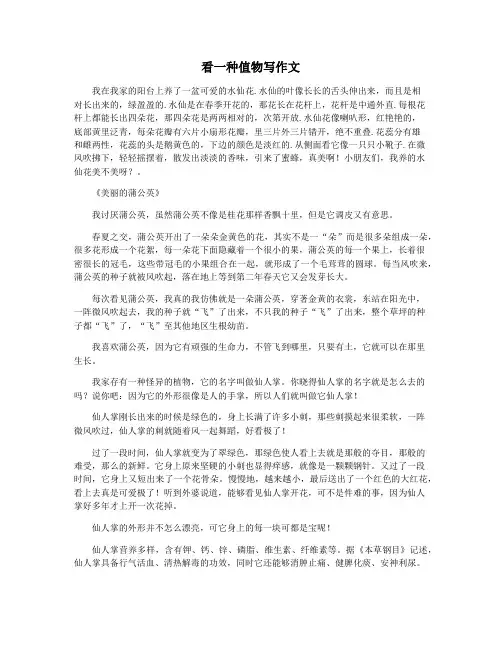 看一种值物写作文