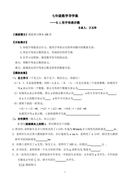 用字母表示数1稿-王玉玲
