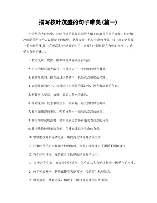 描写枝叶茂盛的句子唯美(精选两篇)