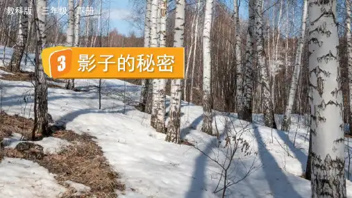 小学三年级科学下册教学课件《影子的秘密》