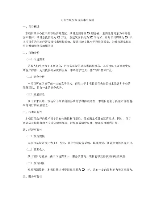 可行性研究报告范本小规模