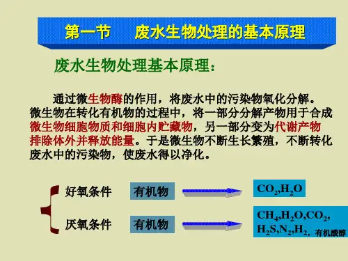 废水生物处理基本原理和主要微生物类群讲PPT课件