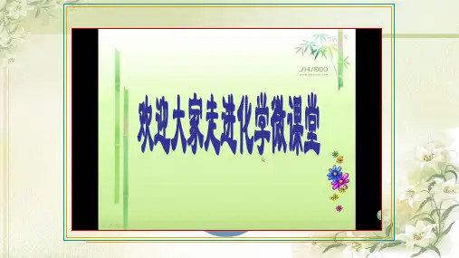 鲁教版九年级化学第二单元第三节《原子的构成》第二课时《原子的构成》第二课时公开课教学课件共36页