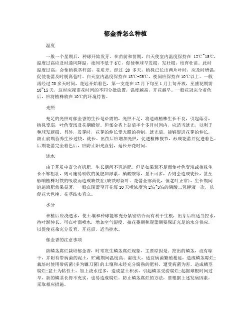 郁金香怎么种植