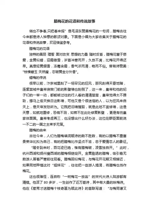 腊梅花的花语和传说故事