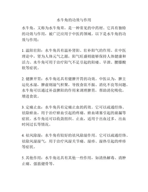 水牛角的功效与作用