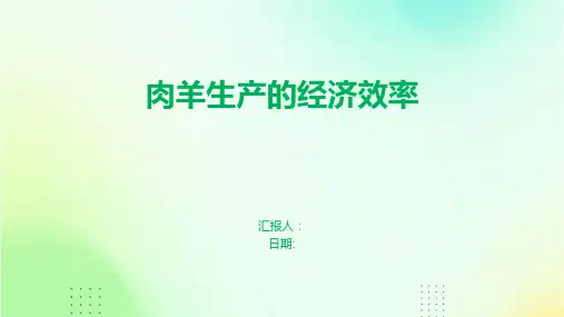 肉羊生产的经济效率