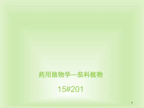 茄科植物PPT精选文档