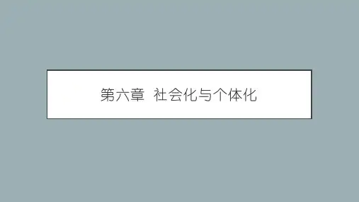 社会学概论新修第六章