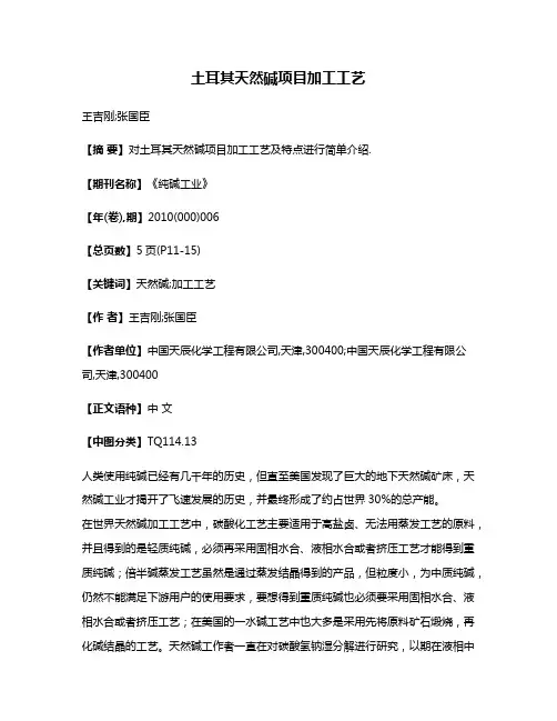 土耳其天然碱项目加工工艺